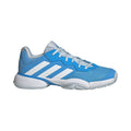 blauw_5727