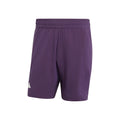 7Inch Ergo Shorts Heren - lila