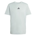Climacool Identitiy Graphic T-shirt Hommes-sauge