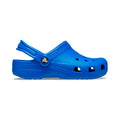 bleu_5727