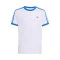 wit_5677