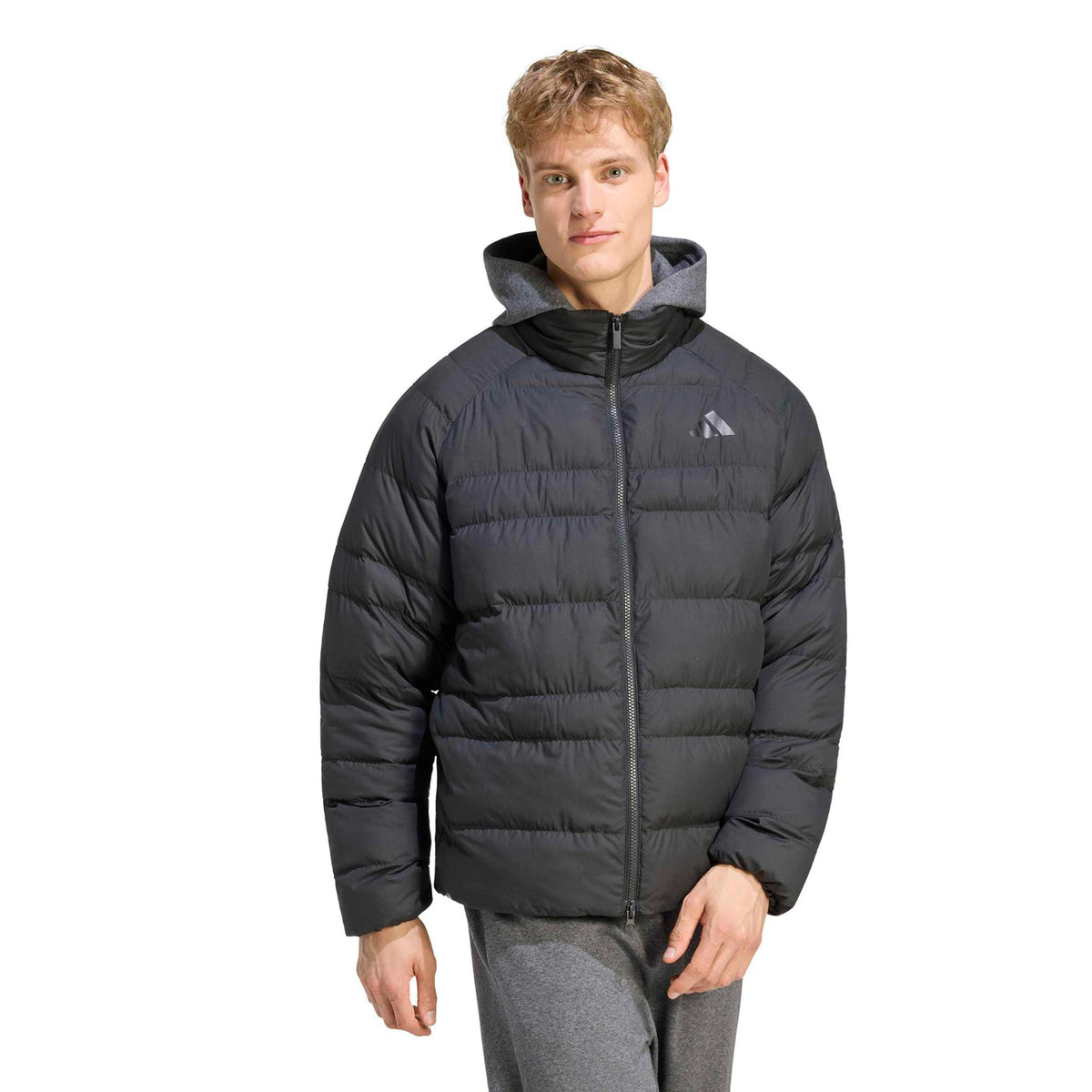 adidas Essentials SD LT Donsjack Heren - zwart