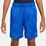 Dri-Fit Shorts