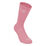 Everyday Plus Cushioned Socks