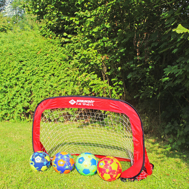 Schildkr&ouml;t Fitness