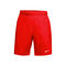 Court Dri-Fit Victory 9in Shorts