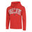 Dri-Fit Fleece Heritage Hoody