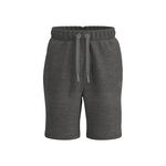 BIDI BADU Kleding BIDI BADU Chill Shorts Heren-Grijs