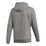 Category Graphic Hoody Men