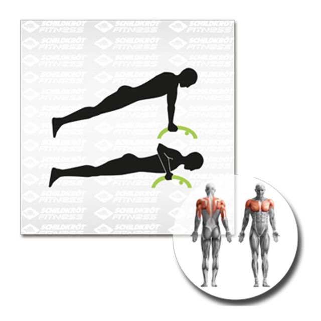 Schildkr&ouml;t Fitness