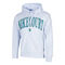 Dri-Fit Fleece Heritage Hoody